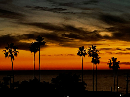 The Universe has your back!